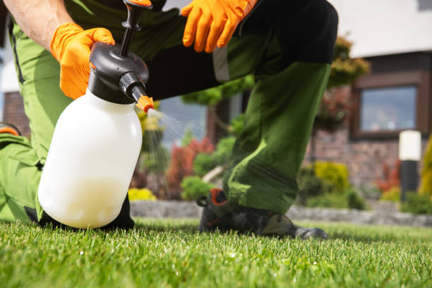 Best Emergency Pest Control  in North Sioux City, SD