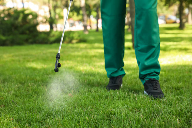 Flea Control Services in North Sioux City, SD