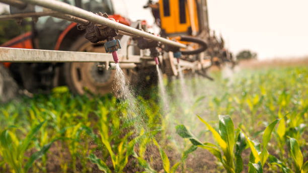 Pest Prevention Services in North Sioux City, SD